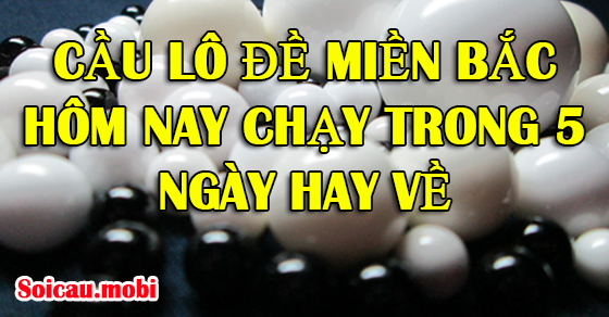 Xổ số Miền Bắc sẽ kéo dài trong 5 ngày hôm nay.