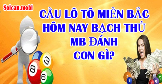Xổ số miền Bắc hôm nay người chơi MB nên đặt cược vào con số nào?