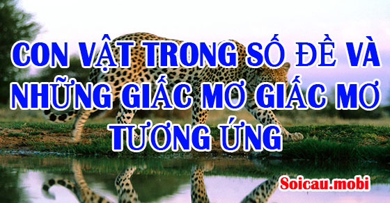 Động vật trong xổ số