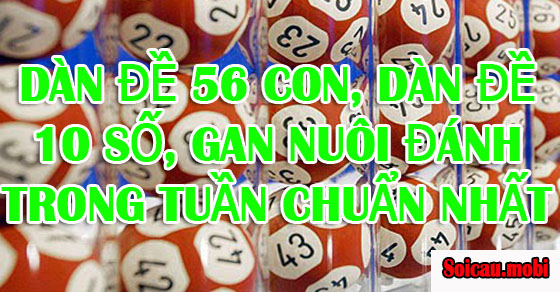 Chủ đề đặt câu hỏi chuẩn nhất trong tuần