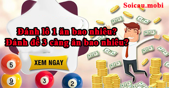 Bạn sẽ nhận được bao nhiêu nếu đặt cược số 1 và bạn sẽ nhận được bao nhiêu nếu đặt cược số 3?