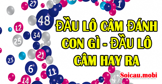 Bạn nên đặt cược vào con số nào khi bắt đầu một cuộc xổ số ngu ngốc?