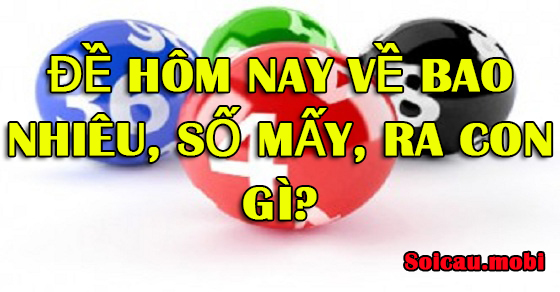 Có bao nhiêu và số nào đã được chơi trong xổ số hôm nay?