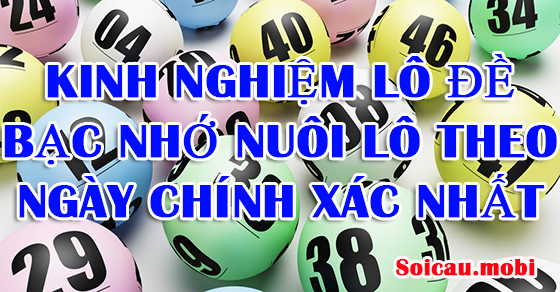 Kinh nghiệm nâng mẻ hàng ngày từ mẻ này sang mẻ khác
