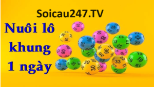 Phương pháp trồng khung 1 ngày, 2 lô phù hợp với những người có ít vốn.